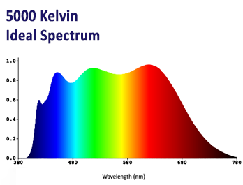 Ideal 5000 Kelvin LED for Slitlamp in Ophthalmology