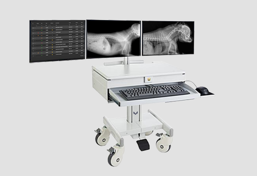 Falcon Ray Digital Radiography